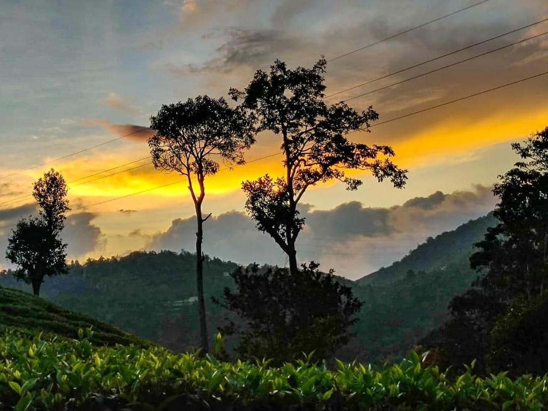 Janiro Tea Trees Villas Vythiri Exterior foto