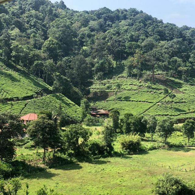 Janiro Tea Trees Villas Vythiri Exterior foto